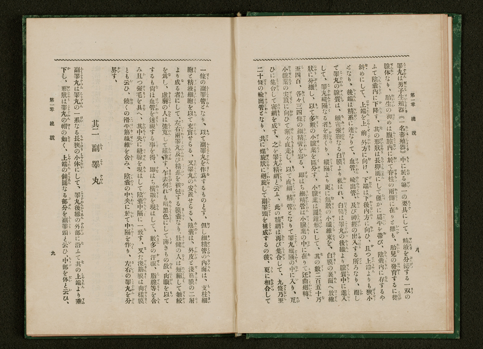 色情衛生哲学 一名人體改良論 書籍 論文 その他刊行物 一般社団法人 Jミルク 酪農乳業史デジタルアーカイブ