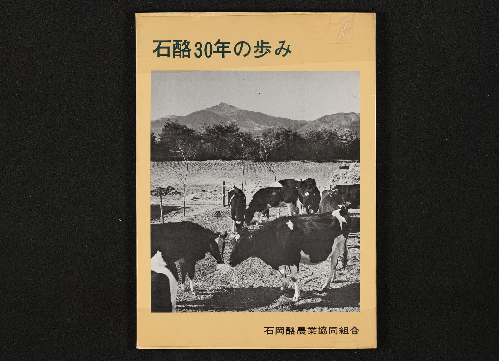 石酪30年の歩み｜書籍・論文・その他刊行物｜一般社団法人 Jミルク 