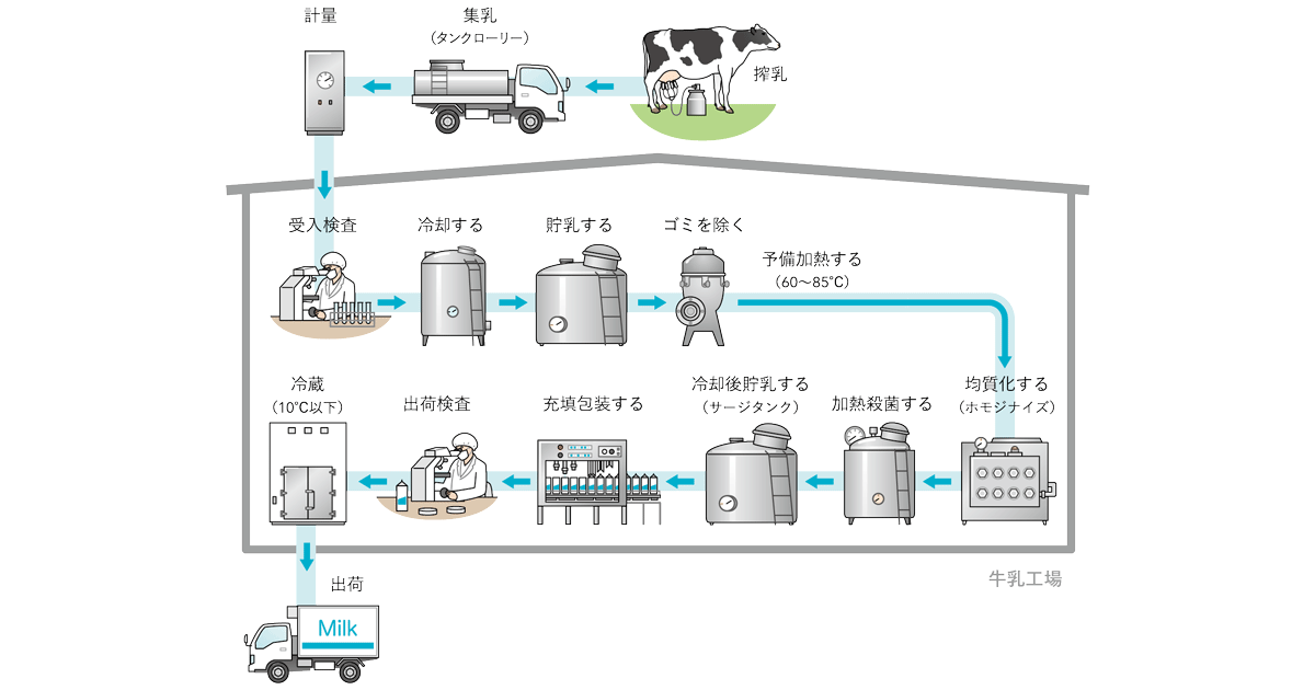 牛乳工場での生産の流れ Findnew 牛乳乳製品の知識