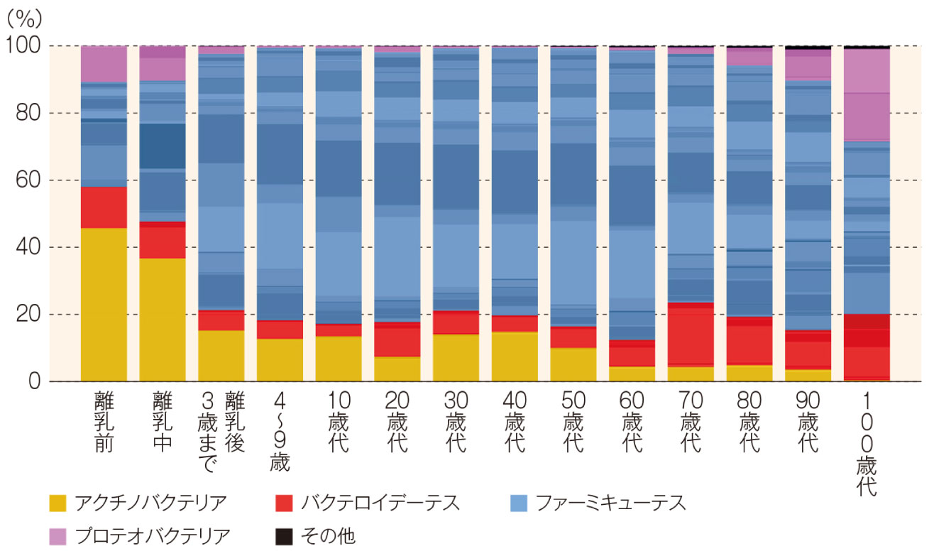 年齢による腸内細菌叢の変化