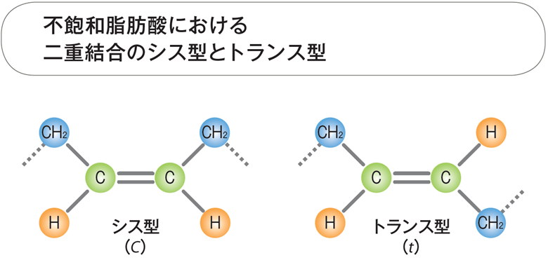 不飽和脂肪酸における二重結合のシス型とトランス型