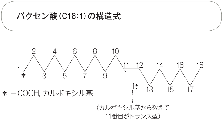 バクセン酸（C18：1）の構造式