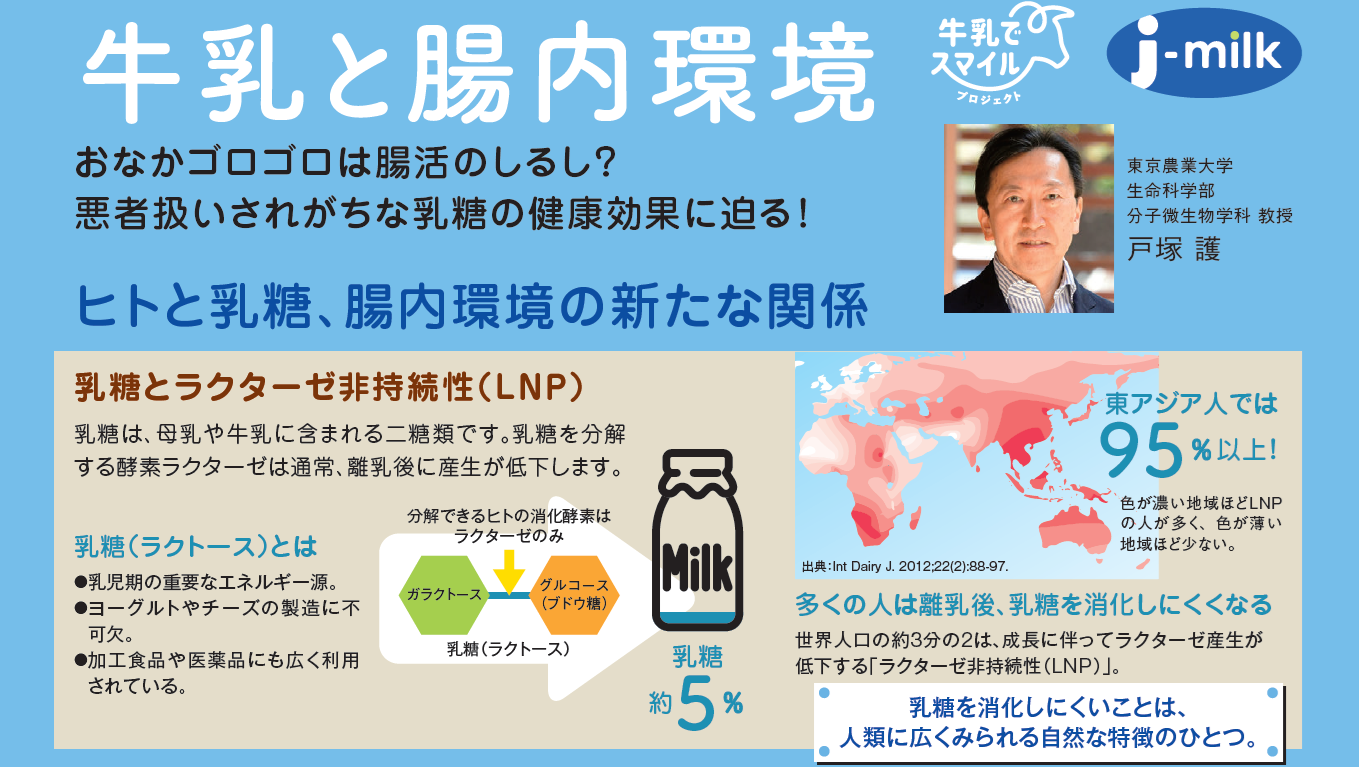 牛乳と腸内環境 －おなかゴロゴロは腸活のしるし？悪者扱いされがちな