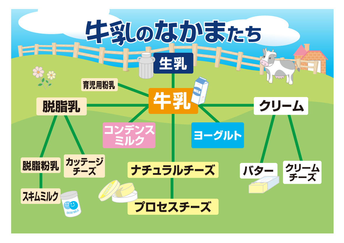 牛乳の豆知識 一般社団法人ｊミルク Japan Dairy Association J Milk
