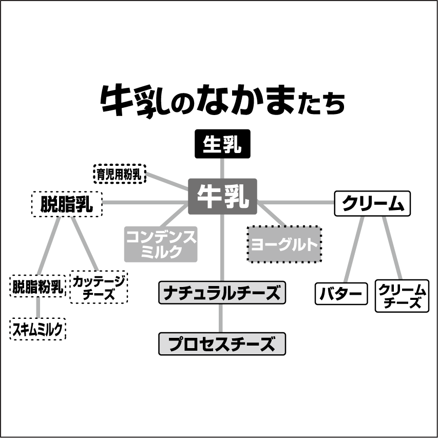 牛乳の豆知識 一般社団法人ｊミルク Japan Dairy Association J Milk