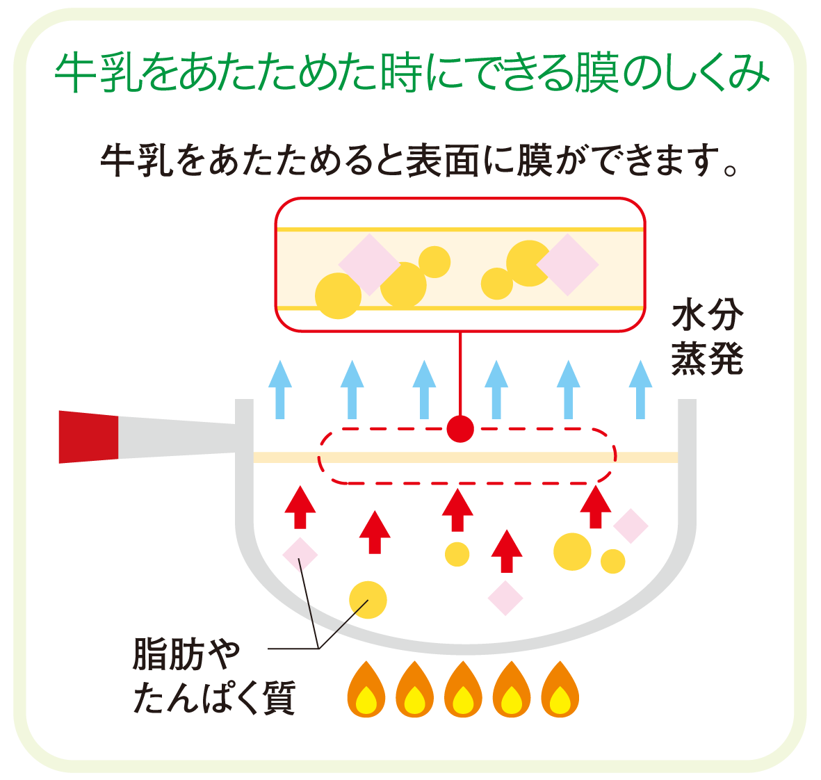 牛乳の豆知識 一般社団法人ｊミルク Japan Dairy Association J Milk